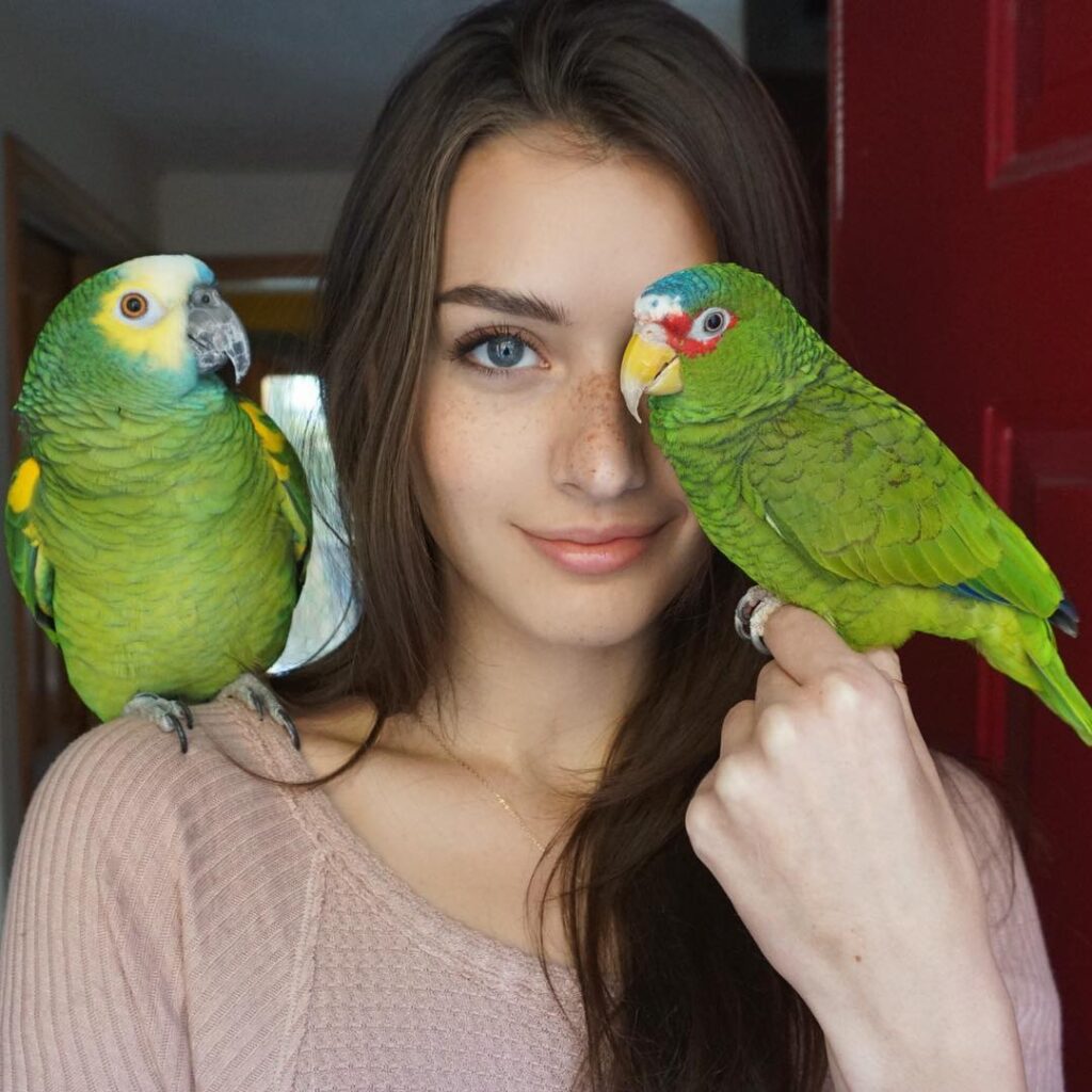 Bonding With Your Bird: Strengthening Your Connection Through Interaction