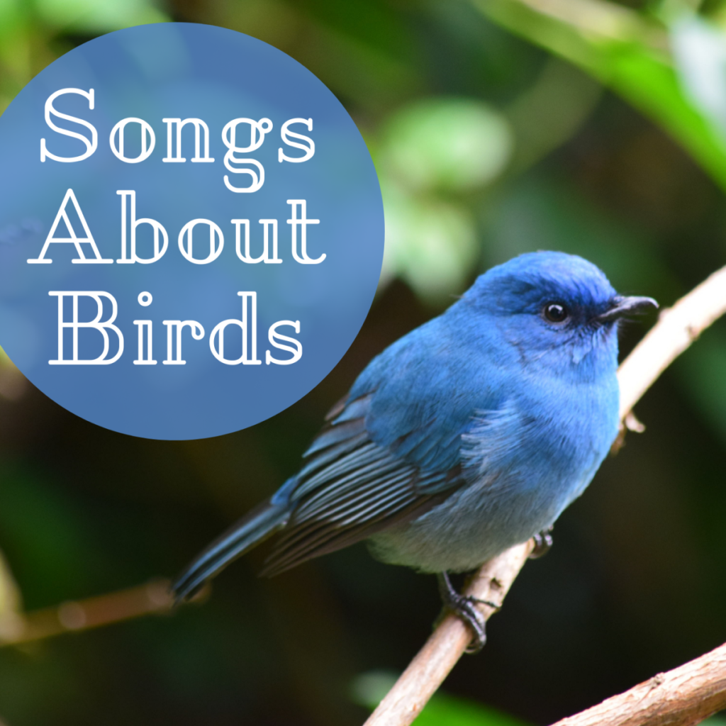 Singing Sweet Melodies: Caring For Songbirds In Your Home