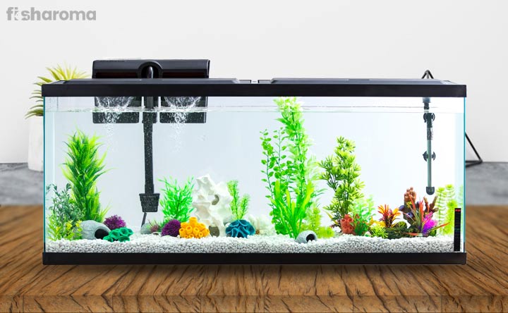 The Aquarium Setup Guide: Creating The Ideal Habitat For Your Fish
