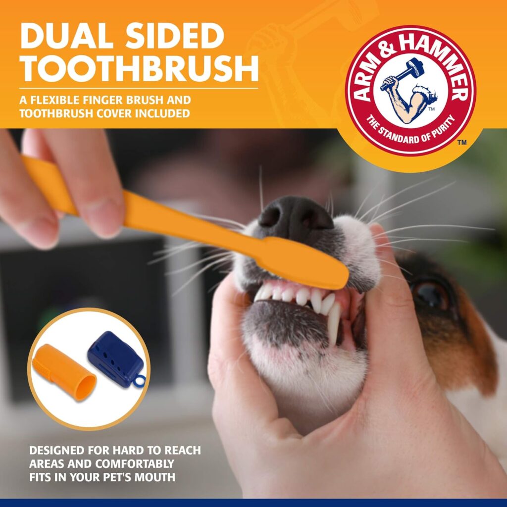 Arm  Hammer for Pets Tartar Control Dental Training Kit for Puppies | Dog Toothbrush, Toothpaste,  Fingerbrush, Total Kit for Ideal Puppy Dental Health | Yummy Vanilla Ginger Flavor